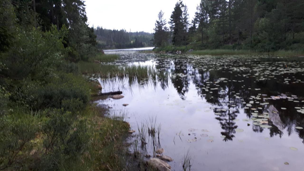 Granheim Hytte Med 2 Soverom Birkeland Esterno foto
